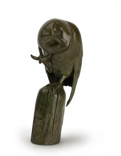 PATRICIA NORTHCROFT Barn Owl