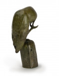 PATRICIA NORTHCROFT Barn Owl