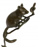 PATRICIA NORTHCROFT Dormouse