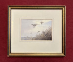 COLIN BURNS (b. 1944) Driven Pheasants