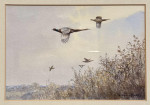 COLIN BURNS (b. 1944) Driven Pheasants