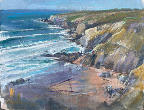 TOM HOAR Coast near Treguthan., Cornwall