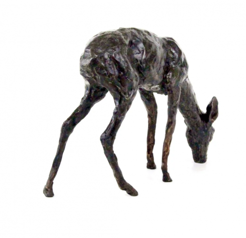 LAURA PENTREATH Roe Deer - grazing