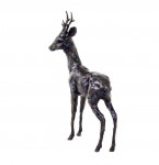 LAURA PENTREATH Roe Deer - Buck