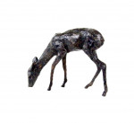 LAURA PENTREATH Roe Deer - grazing