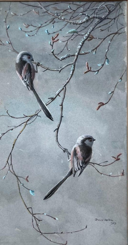 DONALD WATSON (1918 - 2005) Long tailed tits on a branch