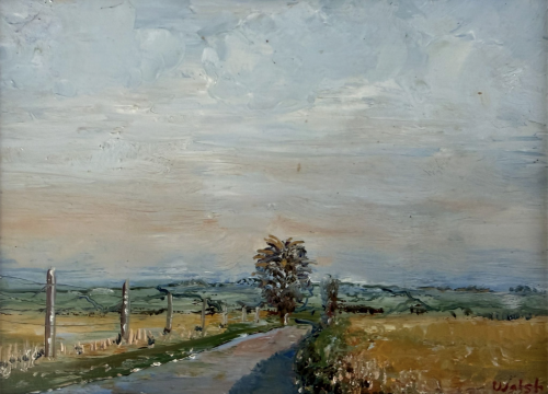 DAVID WALSH Broadchalke