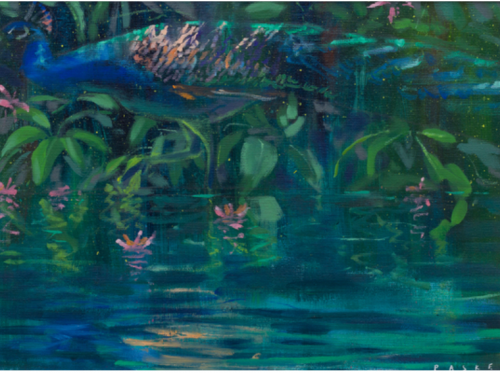 FREDDY PASKE Peacock Poolside