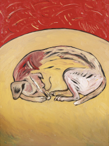 CHRISSIE HYNDE Tan Dog Sleeping Tuesday