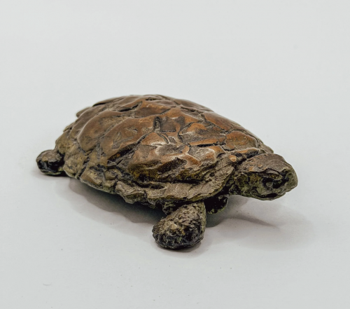 MARK CORETH Pancake Tortoise