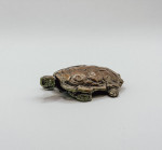 MARK CORETH Pancake Tortoise
