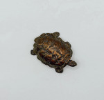 MARK CORETH Pancake Tortoise