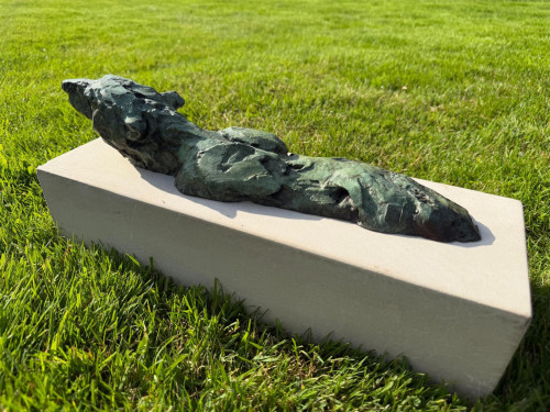 MARK CORETH Swimming Polar Bear