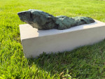 MARK CORETH Swimming Polar Bear