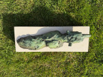 MARK CORETH Swimming Polar Bear