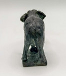 MARK CORETH Stretching Asian Elephant