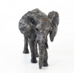 LAURA PENTREATH African Elephant