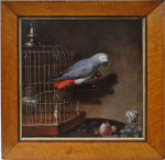 African Grey Parrot by a bird cage