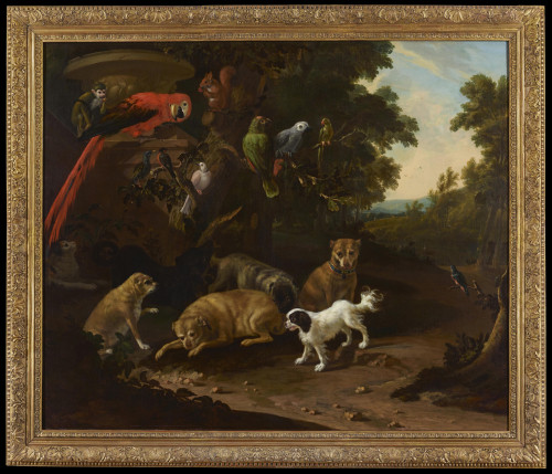 Dogs and a cat at the base of a tree with a red squirrel, squirrel monkey, parrots, macaw, parakeet, kingfisher, bull finch, starling and collared dove in the branches above