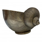 Britannia Standard Silver Silver Nautilus Seashell - Import Mark for 1964 by Janna Thomas