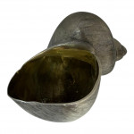 Britannia Standard Silver Silver Nautilus Seashell - Import Mark for 1964 by Janna Thomas