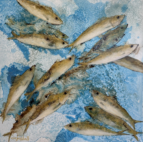 Yellow Shoal, neap tide