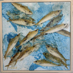 Yellow Shoal, neap tide