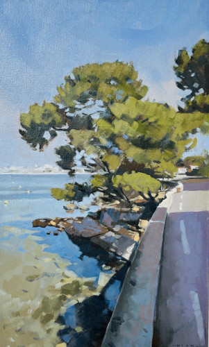 Coastal Pines, Cap d'Antibes