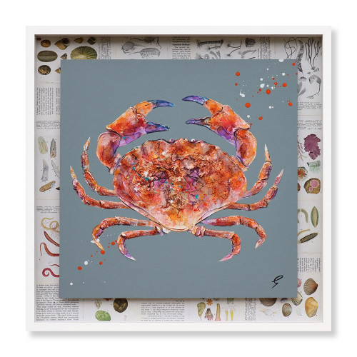 Shell Crab