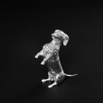Silver model dachshund begging