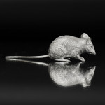 Large silver mouse model
