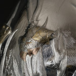 Limited edition silver & gilt vase by Anastasse Georgiou