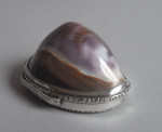 An exceptional silver mounted Shell Snuff Box made in London in 1841 by Edward Edwards.