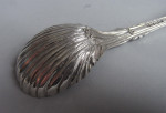 An extremely rare Rococo Revival cast Preserve Spoon made in London in 1842 by Charles & George Fox.