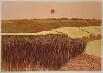 Robert Tavener - Cornfield and Downs