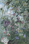 Elizabeth Sorrell - Passion Flowers and Summer Blooms