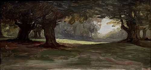 Augusta Wells - Woodland