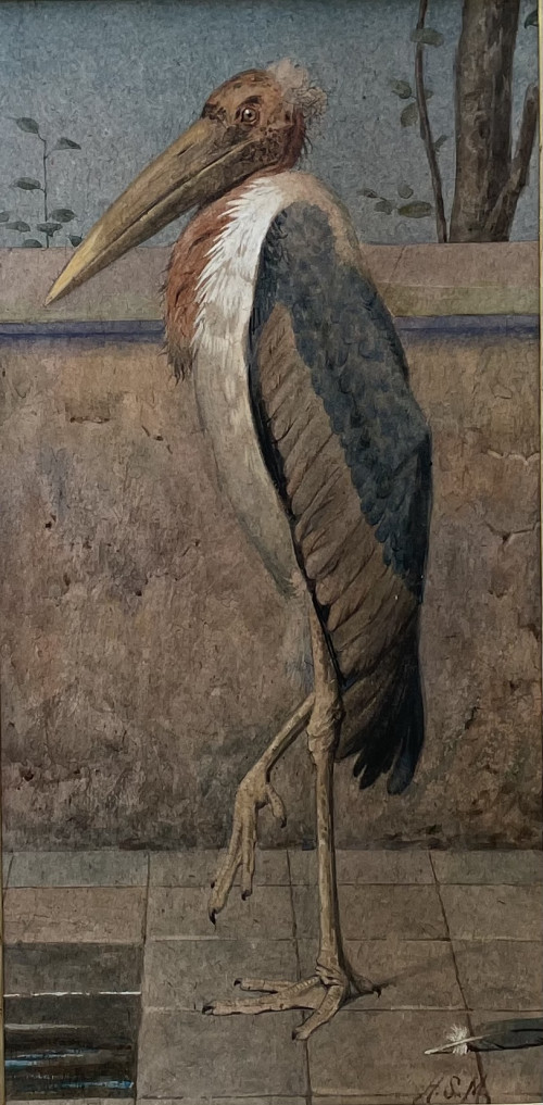 Henry Stacy Marks - Marabou Stork