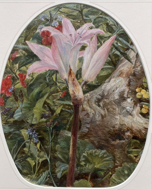 Attrib to Augusta Wells - Lily