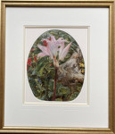 Attrib to Augusta Wells - Lily