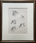 Eileen Soper - Little Feller: Young Muntjac Head Studies