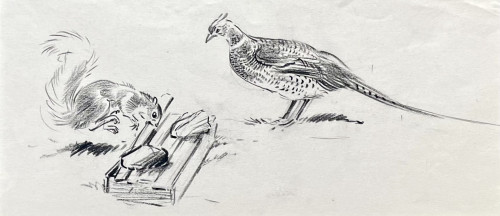 Eileen Soper - At the Feeder - Pheasant and Squirrel