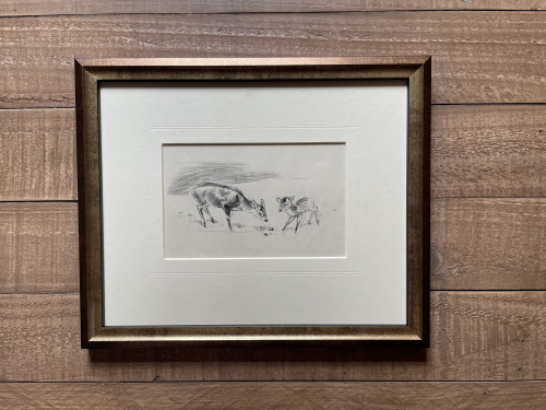 Eileen Soper - Muntjac Mother