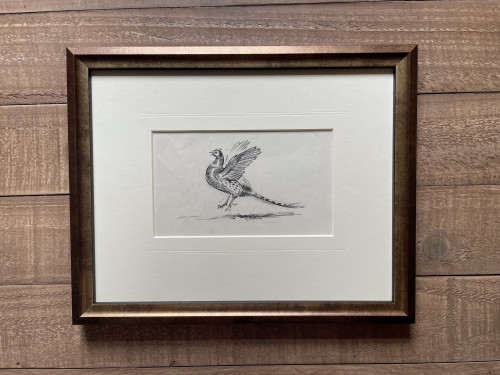 Eileen Soper - Pheasant Display