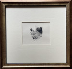 Eileen Soper - Tree Creeper Chicks