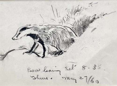 Eileen Soper - Badger Boar Leaving the Set