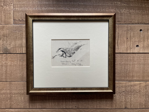 Eileen Soper - Badger Boar Leaving the Set