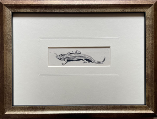 Eileen Soper - Lizard