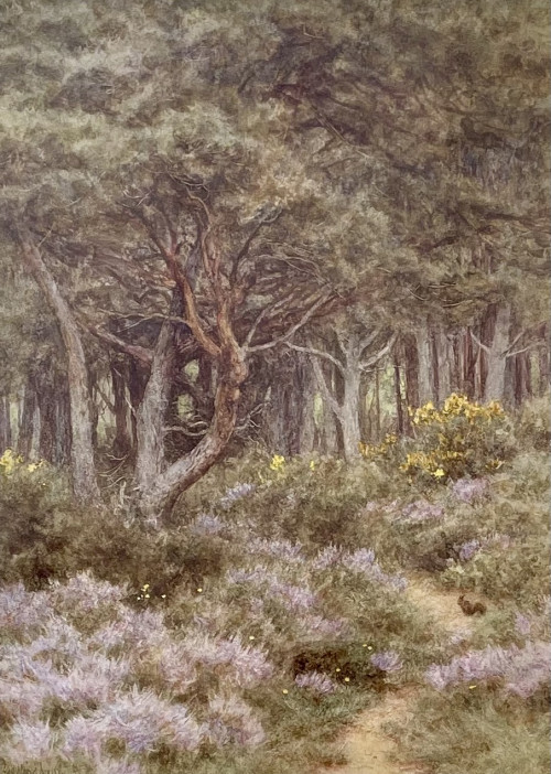 Helen Allingham - The Edge of the Heath