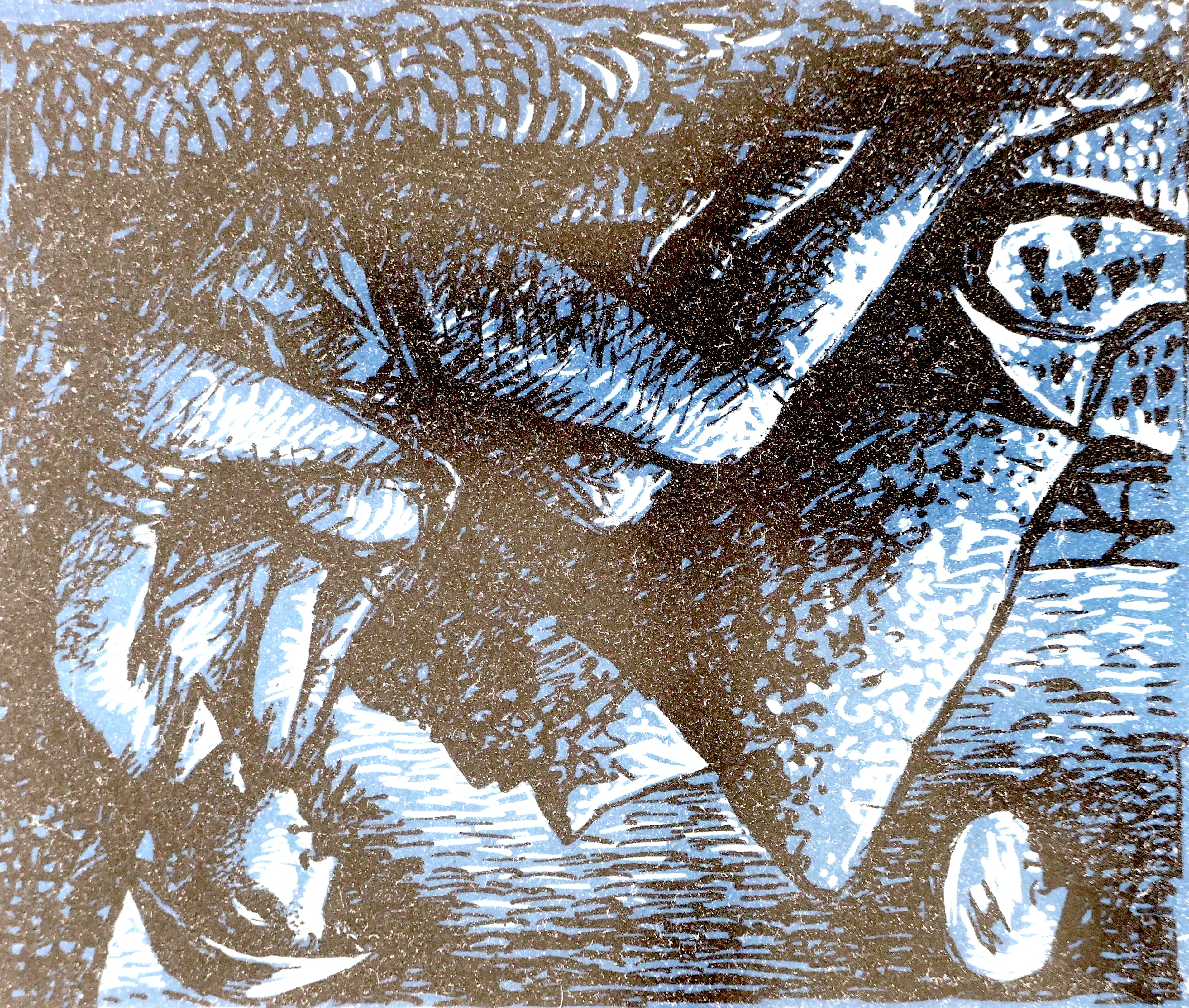John Craxton RA